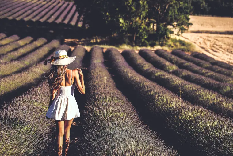 Elisha walking between rows of lavender in a white dress
